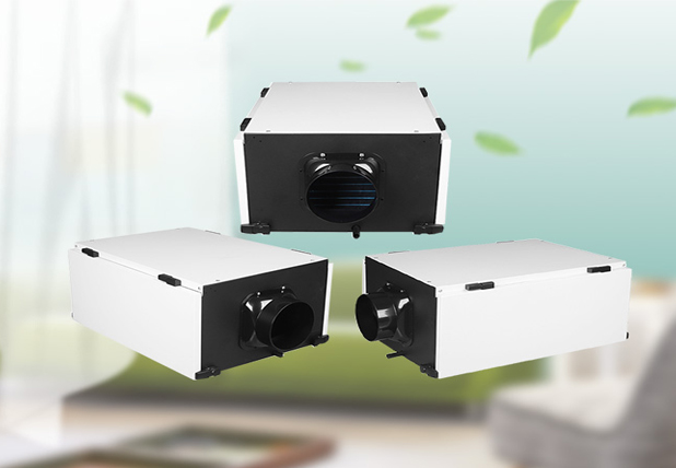 家用除濕機是否有效除濕？如何正確擺放？