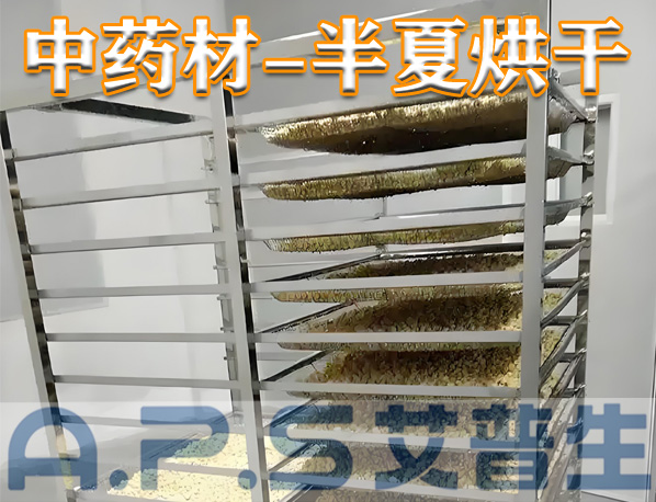 中藥材半夏烘干，除了傳統(tǒng)的烘干方法，首選推薦使用艾普生空氣能熱泵烘干機(jī)