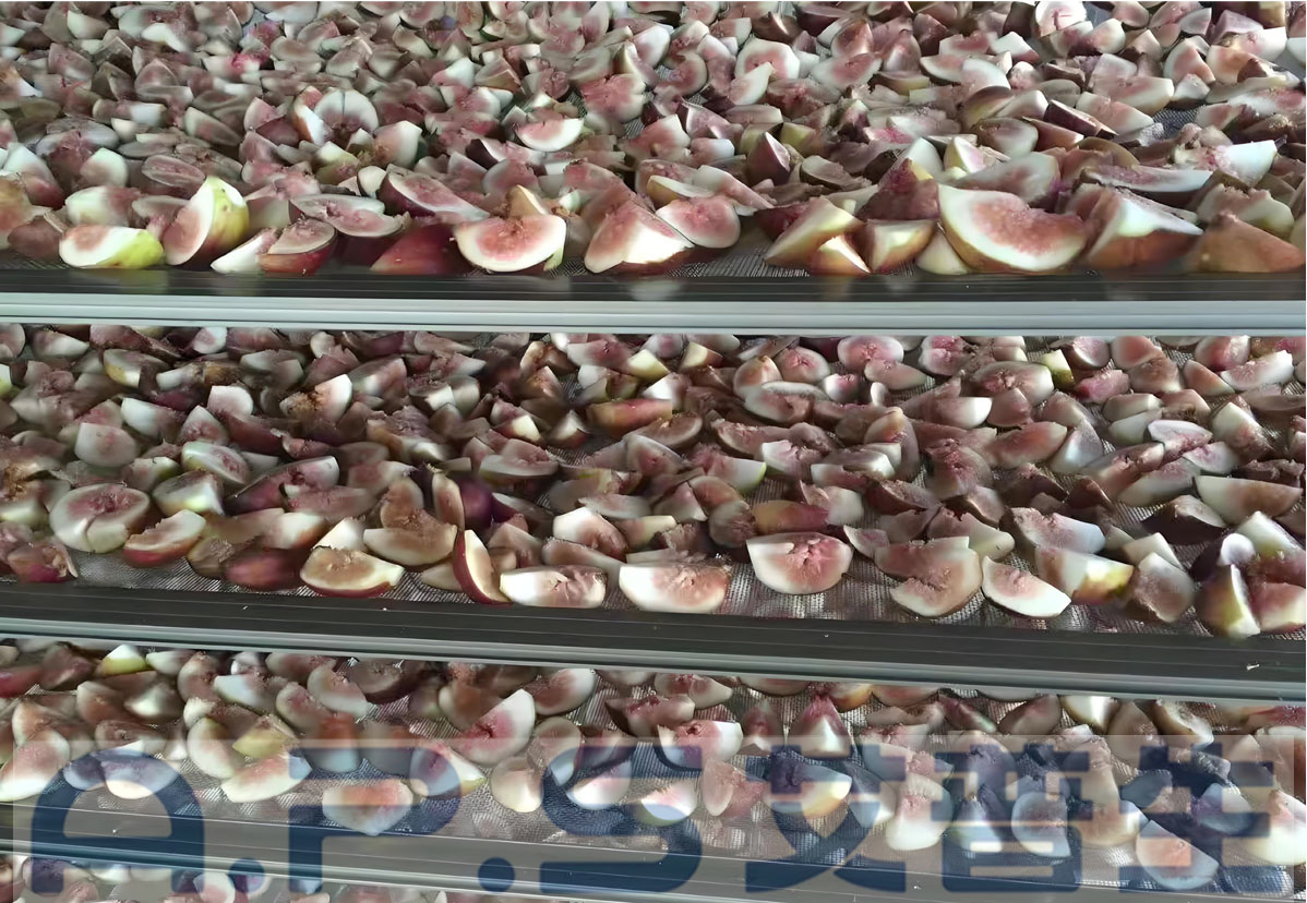 8、無花果烘干 詳情頁=1.jpg