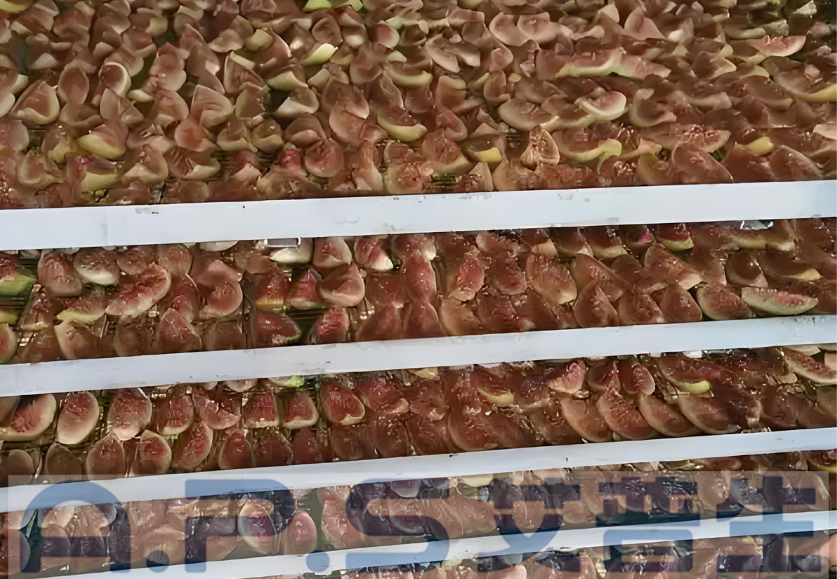 8、無花果烘干 詳情頁=2.jpg